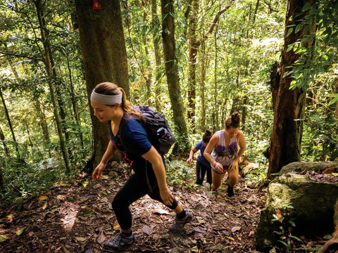 Devils Thumb (Manjal Jimalji) Trail - Kingaroy Accommodation 0