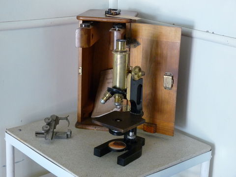 Dr Arratta Museum - Kingaroy Accommodation 1