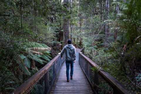 Hastings Caves And Thermal Springs - Kingaroy Accommodation 1