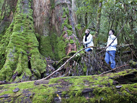 Hastings Caves And Thermal Springs - Kingaroy Accommodation 2