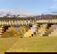 Historic Tabulam DeBurgh Timber Bridge - Kingaroy Accommodation