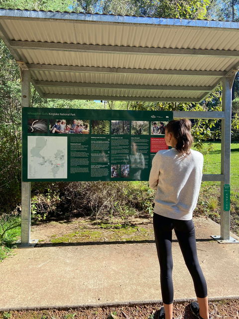 Jehosaphat Gully Picnic Area - Kingaroy Accommodation 0