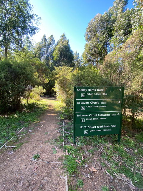Jehosaphat Gully Picnic Area - Kingaroy Accommodation 2