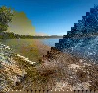 Jewfish Walk - Kingaroy Accommodation