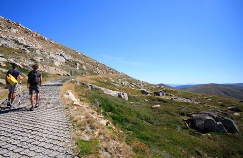 Kosciuszko Walk - Thredbo To Mount Kosciuszko - Kingaroy Accommodation 0