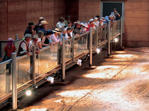 Lark Quarry Conservation Park - Kingaroy Accommodation 0