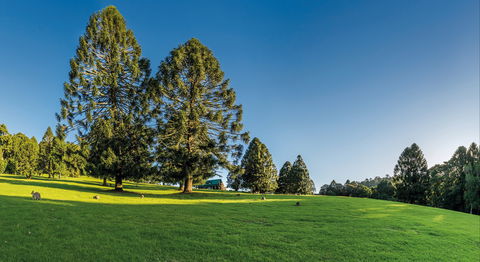 National Parks And Artisan Stories - Kingaroy Accommodation 0