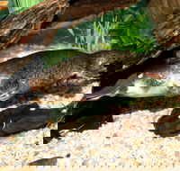 Platypus House - Kingaroy Accommodation