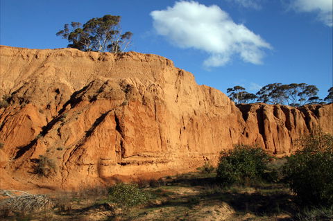 Red Banks Conservation Park - Kingaroy Accommodation 0