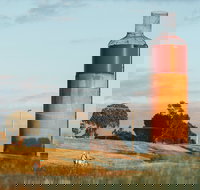 Rutherglen Wine Bottle - Kingaroy Accommodation