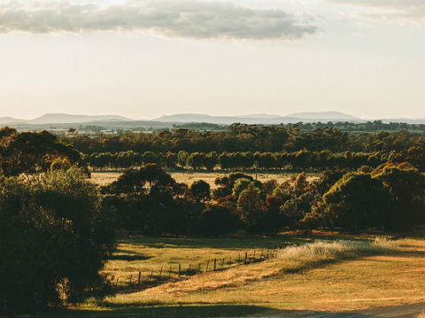Rutherglen Wine Bottle - Kingaroy Accommodation 2