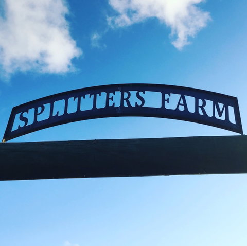 Splitters Farm - Kingaroy Accommodation 2