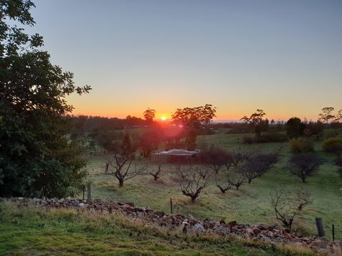 Taralee Orchards - Kingaroy Accommodation 1
