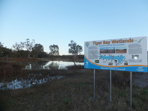 Tiger Bay Wetlands - Kingaroy Accommodation 0