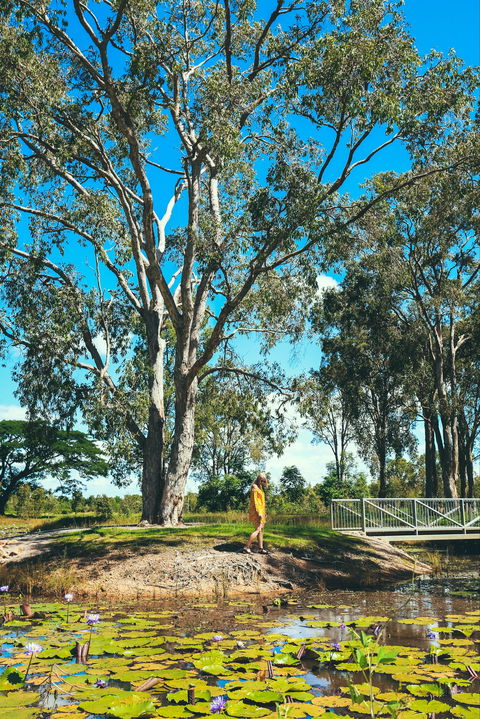 TYTO Wetlands - Kingaroy Accommodation 1