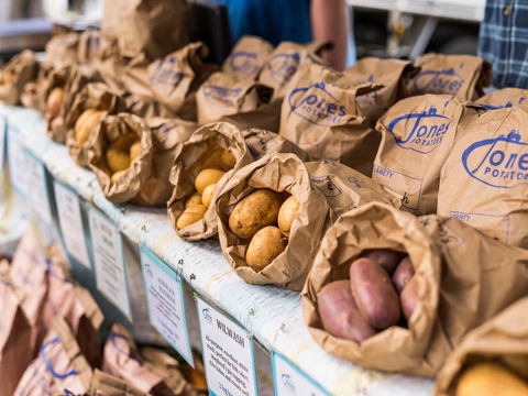 Warragul Farmers Market - Kingaroy Accommodation 2