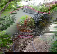 Black Dragon Gardens Wulong Yuan - Kingaroy Accommodation