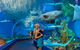 Cairns Aquarium - thumb 0