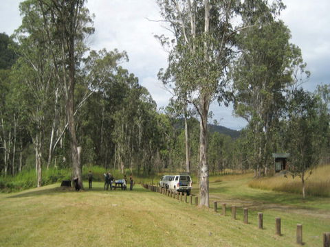 Chaelundi National Park - Kingaroy Accommodation 0