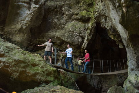 Day Trips From Rockhampton - Kingaroy Accommodation 0