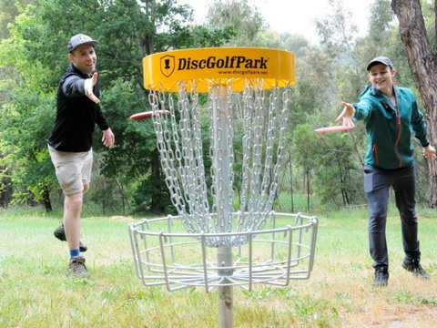 Disc Golf - Kingaroy Accommodation 0