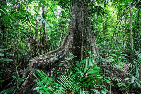 Djiru National Park - Kingaroy Accommodation 0