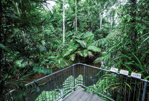 Djiru National Park - Kingaroy Accommodation 1