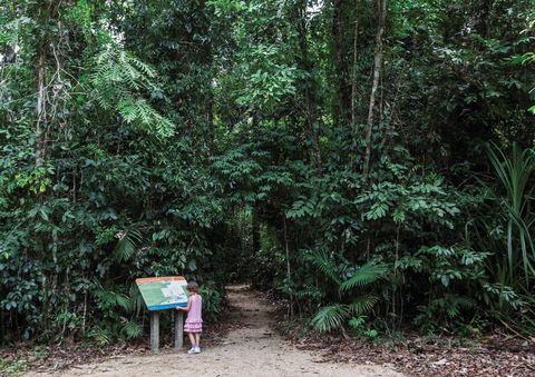 Djiru National Park - Kingaroy Accommodation 2