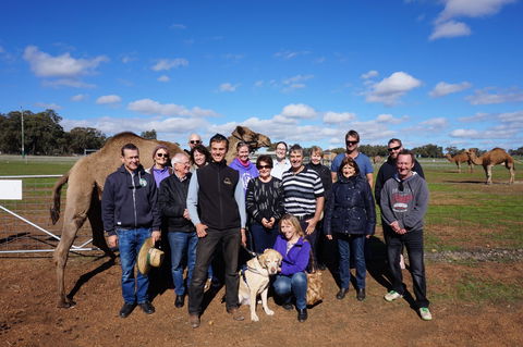 DromeDairy Body And Skin - Kingaroy Accommodation 1