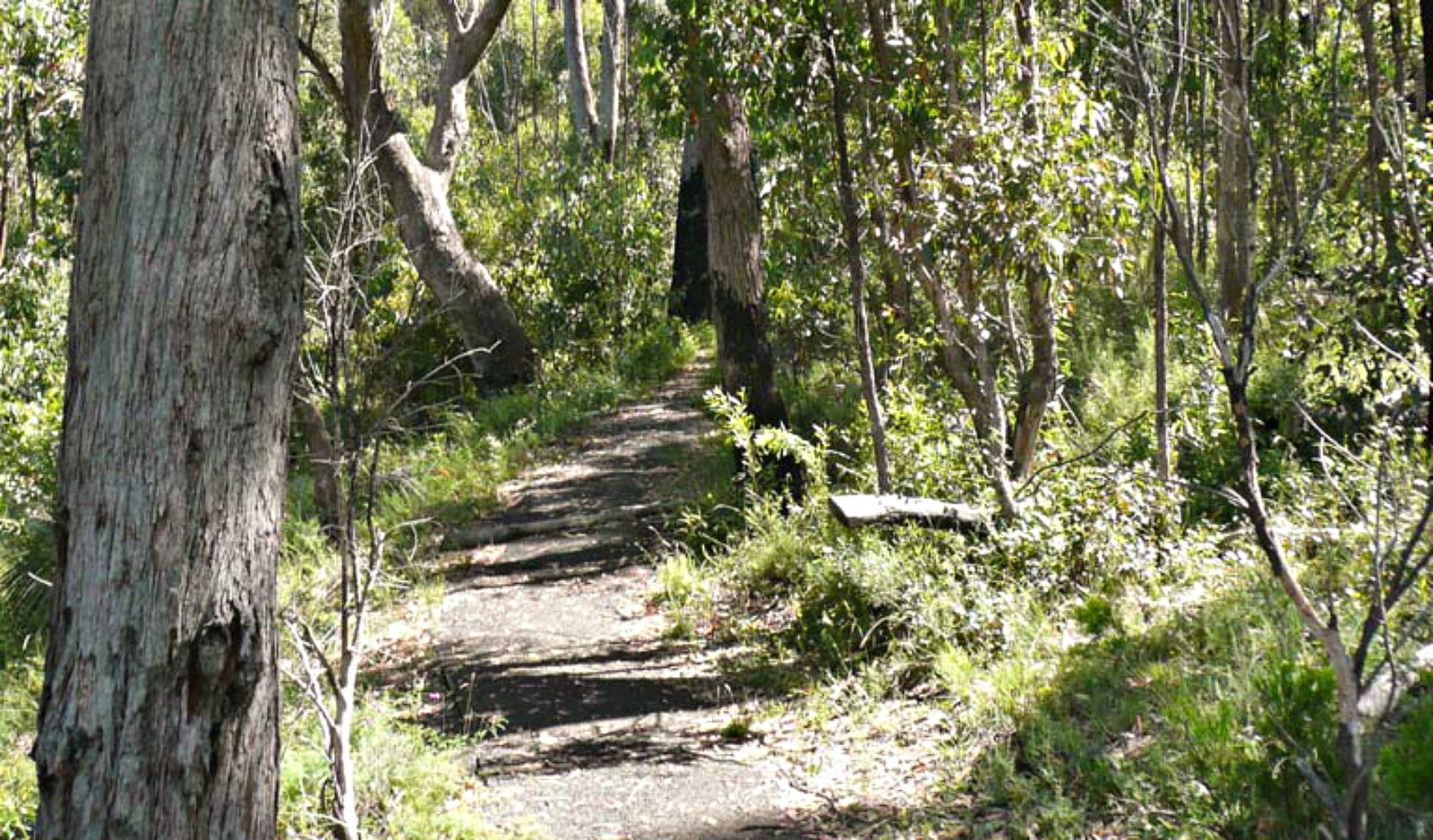  Kingaroy Accommodation