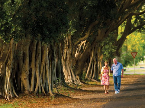 Fig Tree Avenue - Kingaroy Accommodation 1
