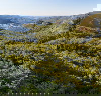Gold Coast Hinterland Great Walk - Kingaroy Accommodation