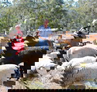 Haigslea EWE Nique Hobby Farm