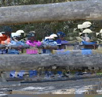 Harlow Park Horse Riding - Kingaroy Accommodation