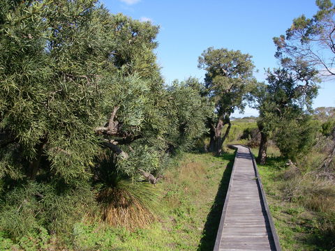 Kepwari Trails Wetland Wonderland - Kingaroy Accommodation 0