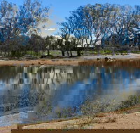 Lake King Wetlands at Rutherglen - Kingaroy Accommodation