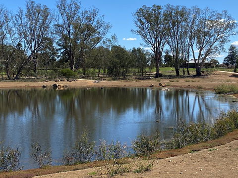 Lake King Wetlands At Rutherglen - Kingaroy Accommodation 0