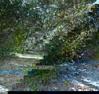 Lillypilly loop trail - Kingaroy Accommodation