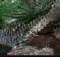Misty Mountains Wilderness Tracks - Kingaroy Accommodation