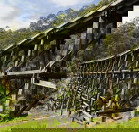 Noojee Trestle Bridge - Kingaroy Accommodation