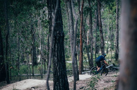 Old Tambo Downhill Mountain Bike Track - Kingaroy Accommodation 0