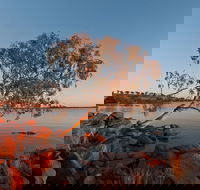 Peery Lake - Kingaroy Accommodation