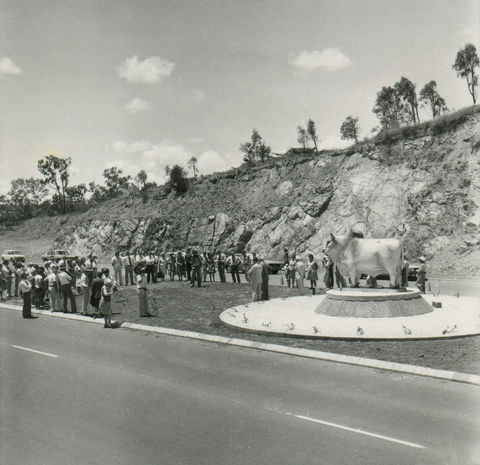 Rockhampton Bull Statues - Kingaroy Accommodation 0