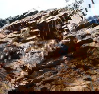 Rock Climbing in Morialta - Kingaroy Accommodation