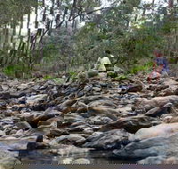 Rocksberg Park Heritage Reserve - Kingaroy Accommodation