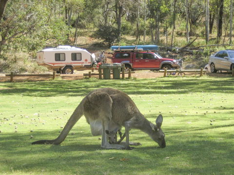 Serpentine - Kingaroy Accommodation 1