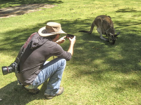 Serpentine - Kingaroy Accommodation 2