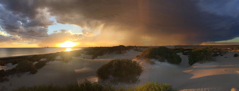 Shelly Beach Dune Walk Trail - Kingaroy Accommodation 2