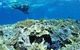Southern Small Detached Reef Dive Site - thumb 1