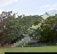 State Square Banyan Tree - Kingaroy Accommodation
